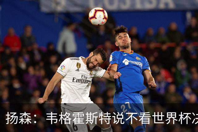 扬森：韦格霍斯特说不看世界杯决赛？他太爱作秀了