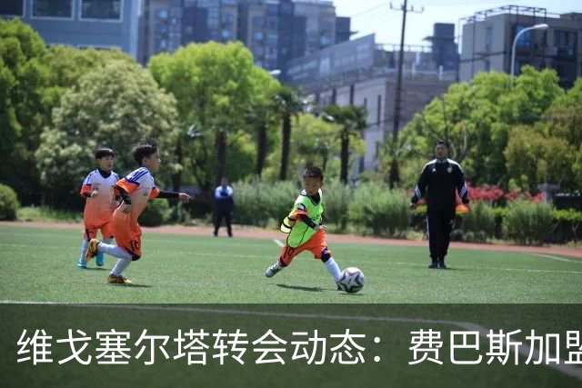 维戈塞尔塔转会动态：费巴斯加盟在即，预备队力争升级