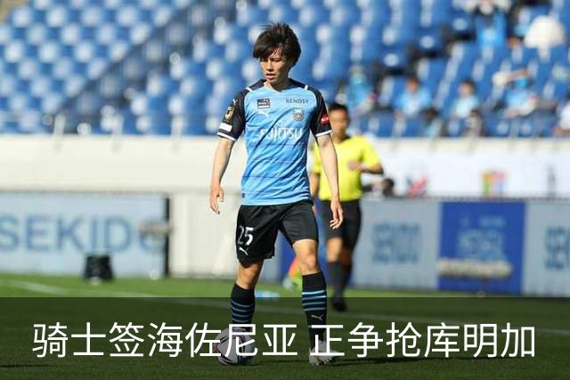 骑士签海佐尼亚 正争抢库明加